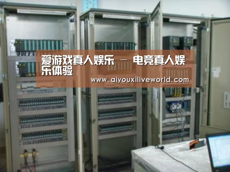 爱游戏下载案例展示五