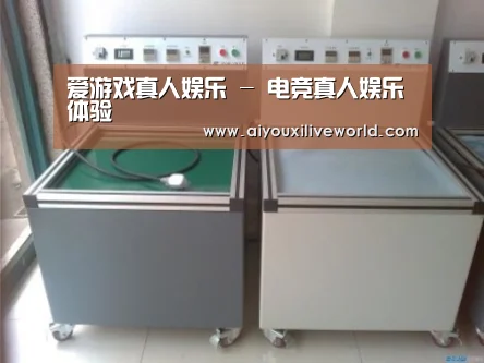 爱游戏下载案例展示二