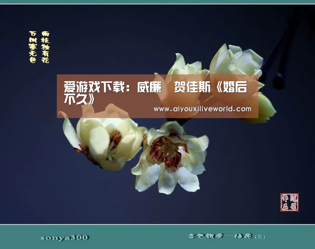 爱游戏下载:威廉•贺佳斯《婚后不久》(图3) 爱游戏下载