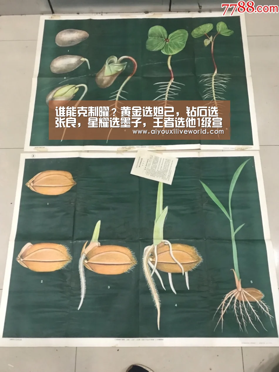 谁能克制曜?黄金选妲己,钻石选张良,星耀选墨子,王者选他1级宣布曜报废|爱游戏下载(图3) 爱游戏APP