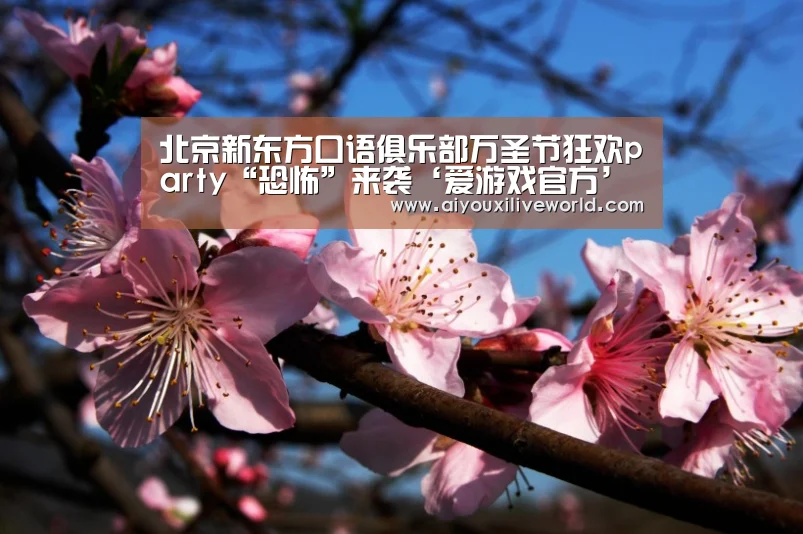 北京新东方口语俱乐部万圣节狂欢party“恐怖”来袭‘爱游戏官方’(图1) 爱游戏官方