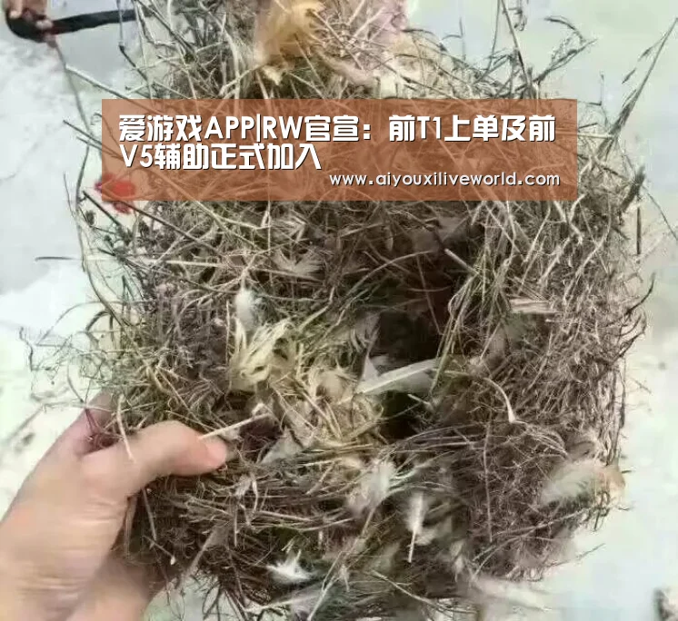 爱游戏官方