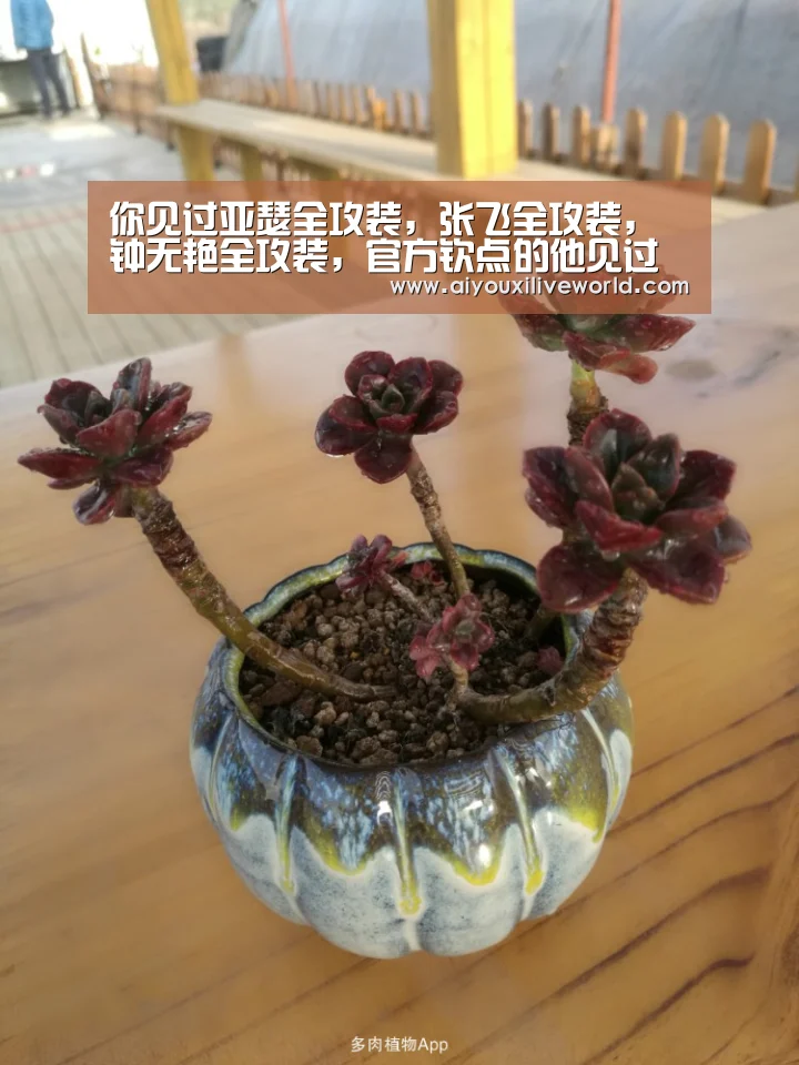 你见过亚瑟全攻装,张飞全攻装,钟无艳全攻装,官方钦点的他见过么?_爱游戏官方(图4) 爱游戏官方