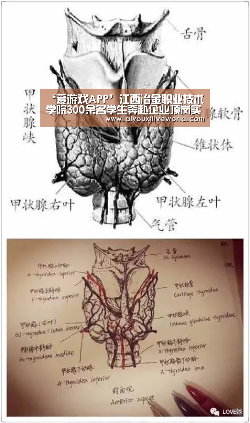 ‘爱游戏APP’江西冶金职业技术学院300余名学生奔赴企业顶岗实习(图2) 爱游戏APP