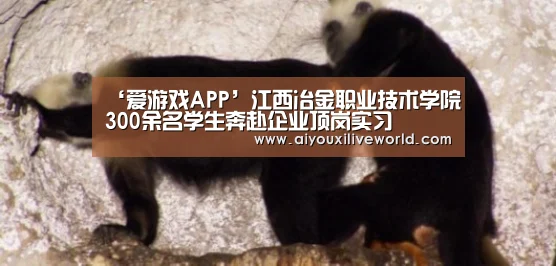 ‘爱游戏APP’江西冶金职业技术学院300余名学生奔赴企业顶岗实习(图4) 爱游戏下载